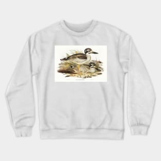 Large-billed Plover (Esacus magnirostris) Crewneck Sweatshirt